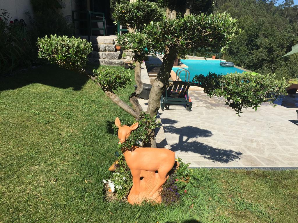 Quinta Paraiso Do Ermal Виейра-ду-Минью Экстерьер фото